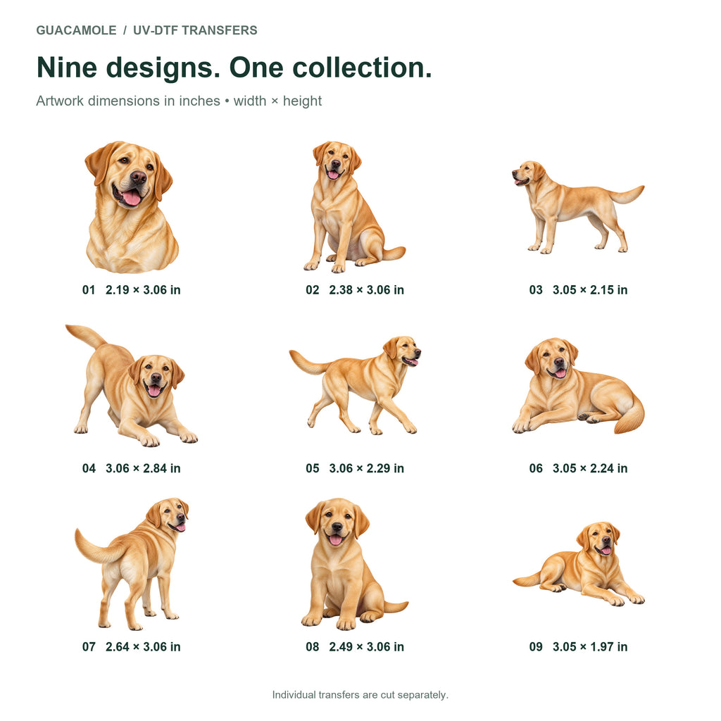 Labrador Retriever — Nine designs and sizes