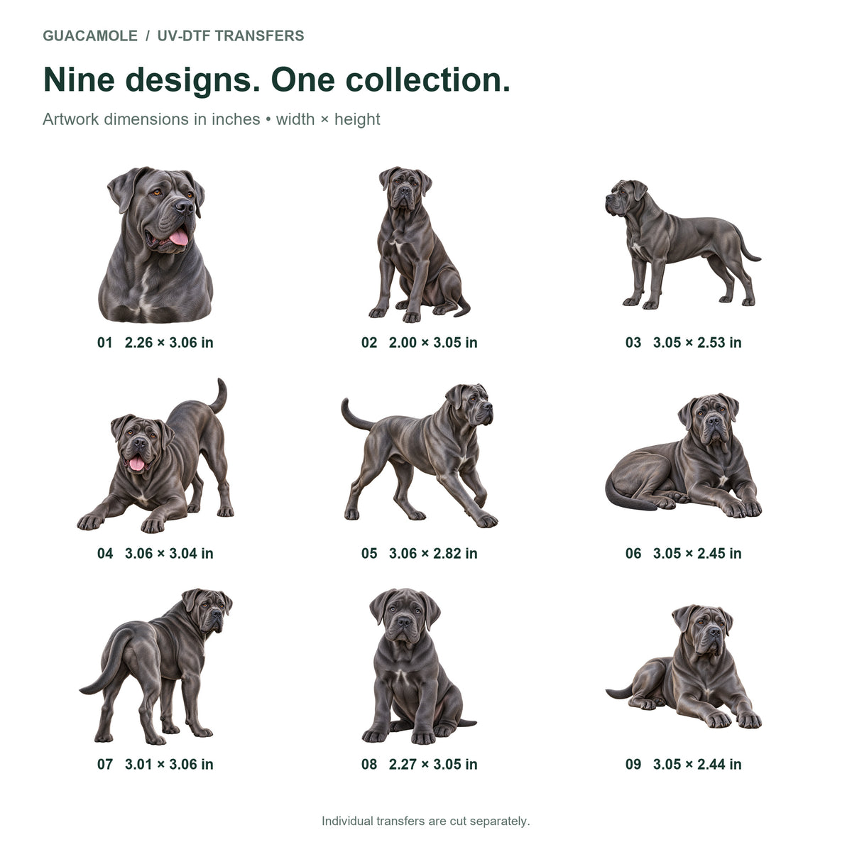 Cane Corso — Nine designs and sizes