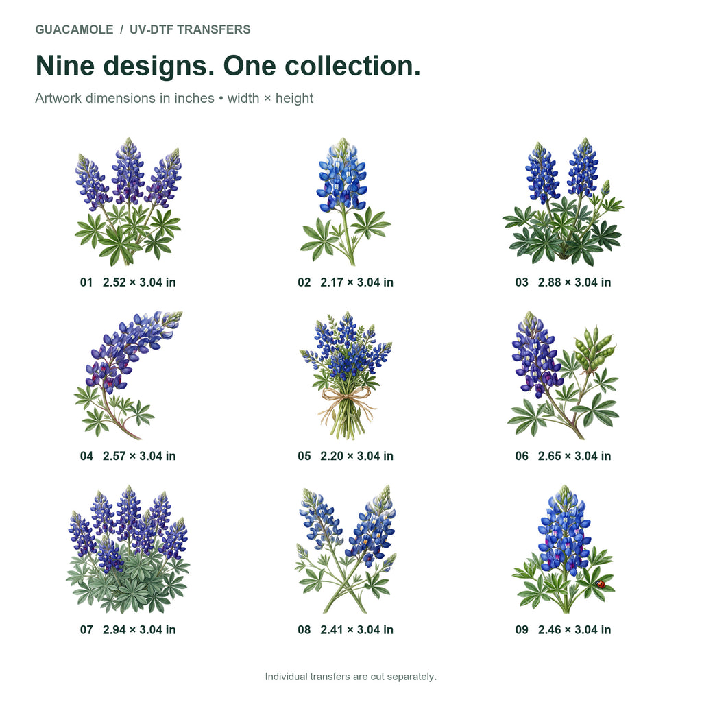 Bluebonnet Meadows — Nine designs and sizes