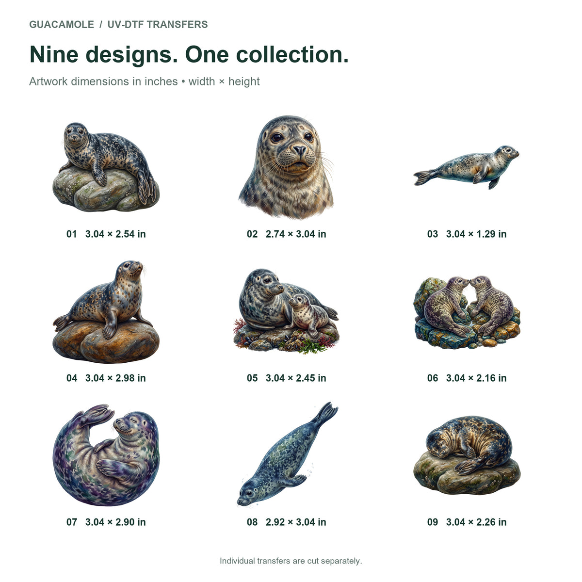 Harbor Seal Rocks — Nine designs and sizes