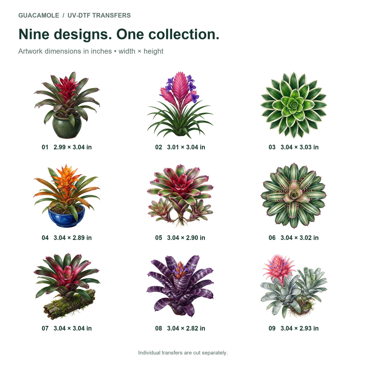 Bromeliad Crowns — Nine designs and sizes
