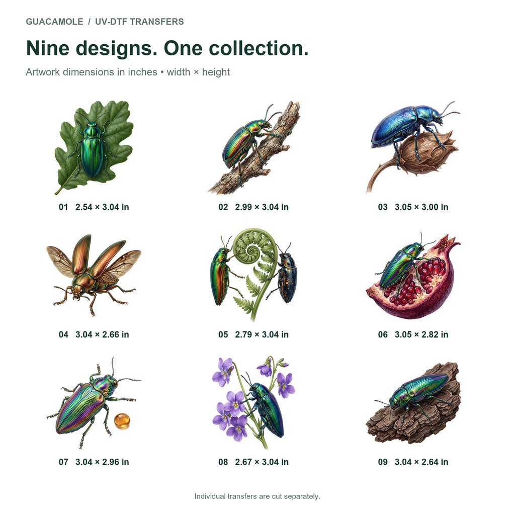 Jewel Beetles — Nine designs and sizes