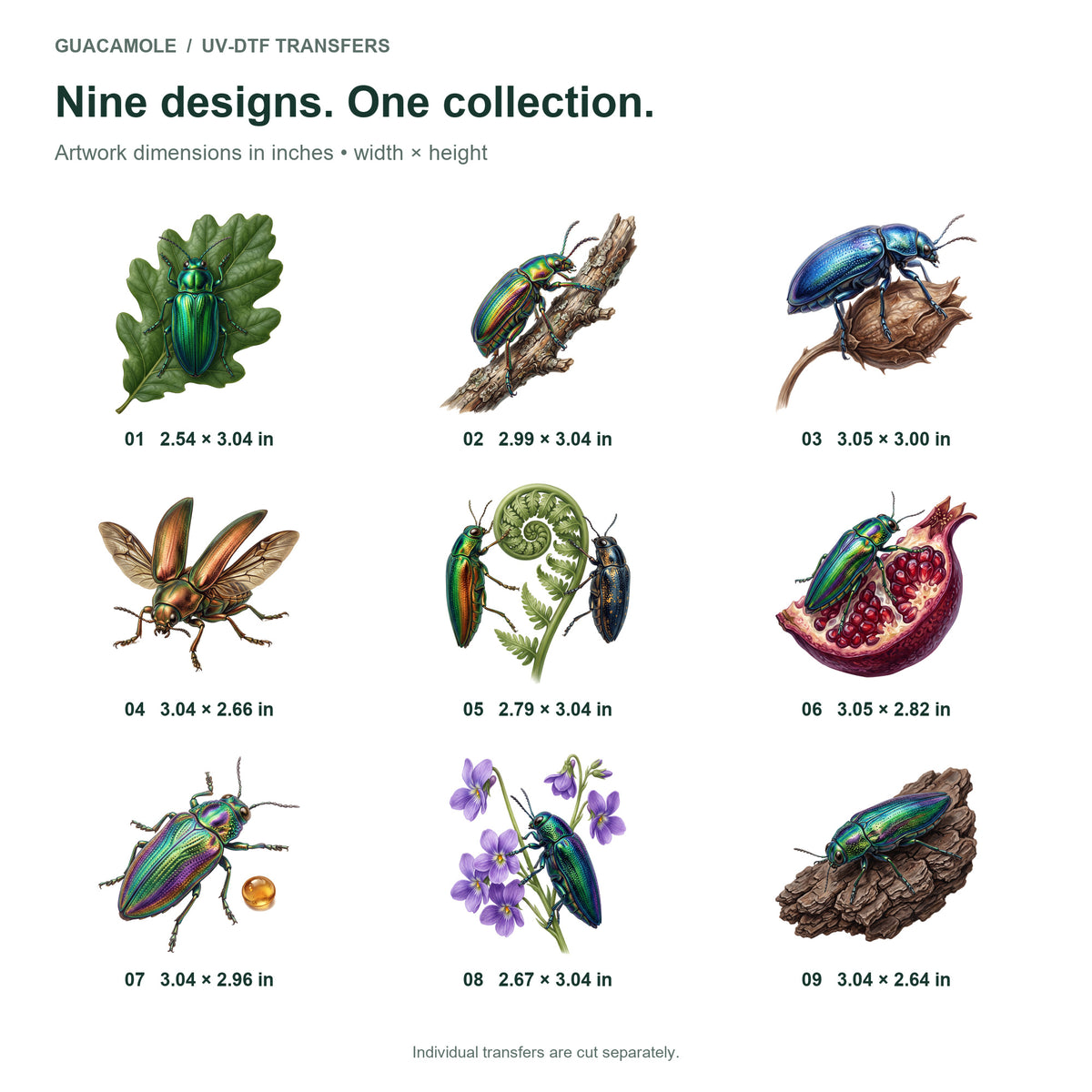 Jewel Beetles — Nine designs and sizes