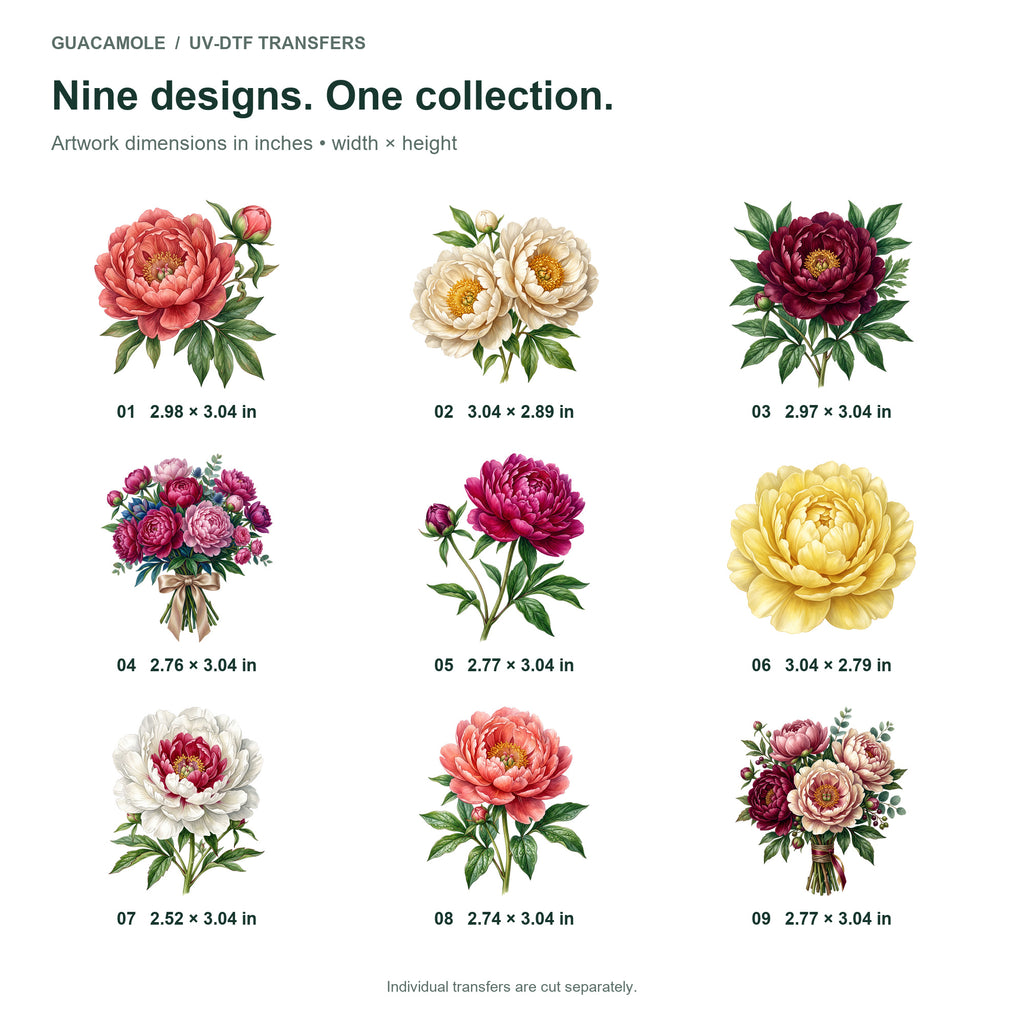 Peony Flowers — Nine designs and sizes