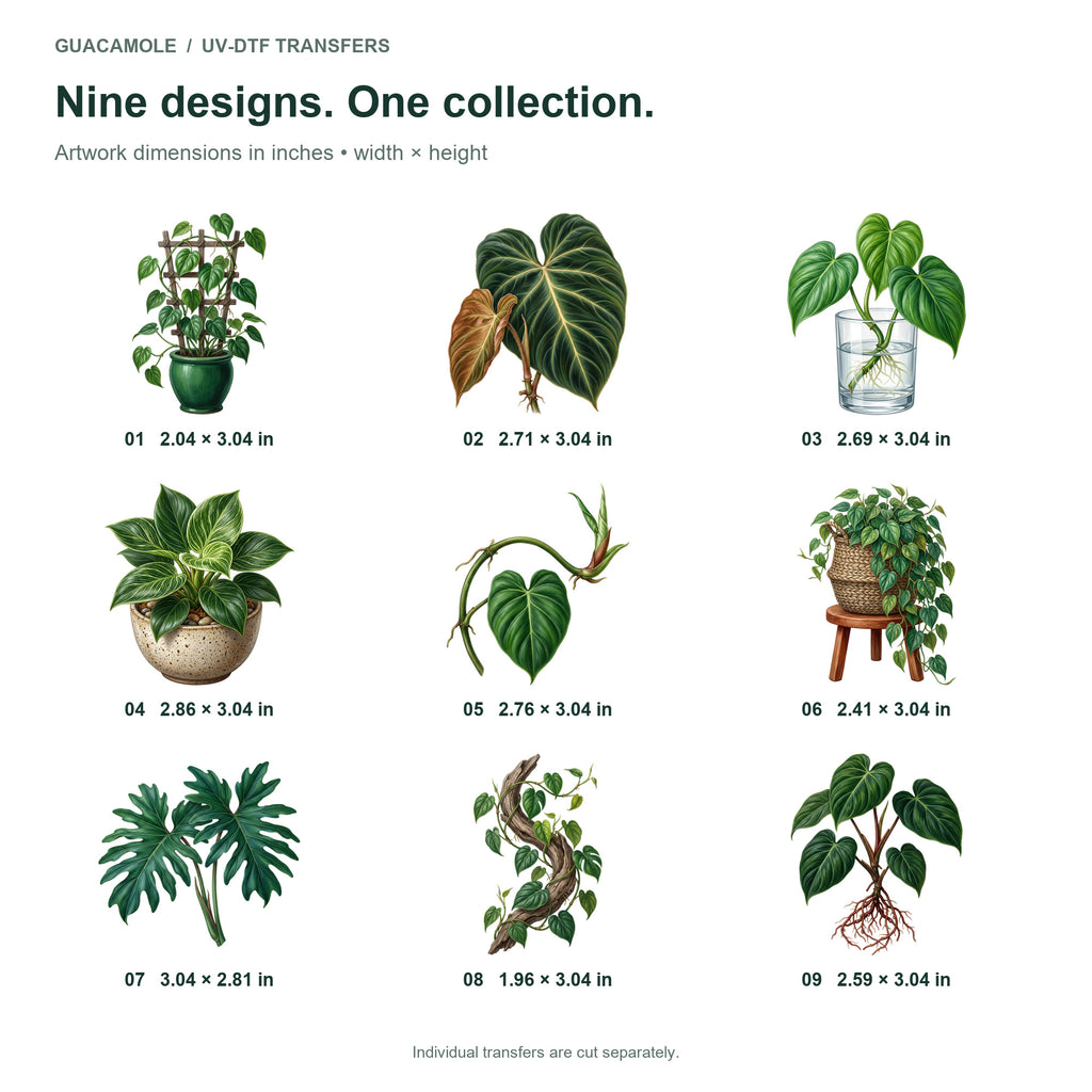 Philodendron Climbers — Nine designs and sizes