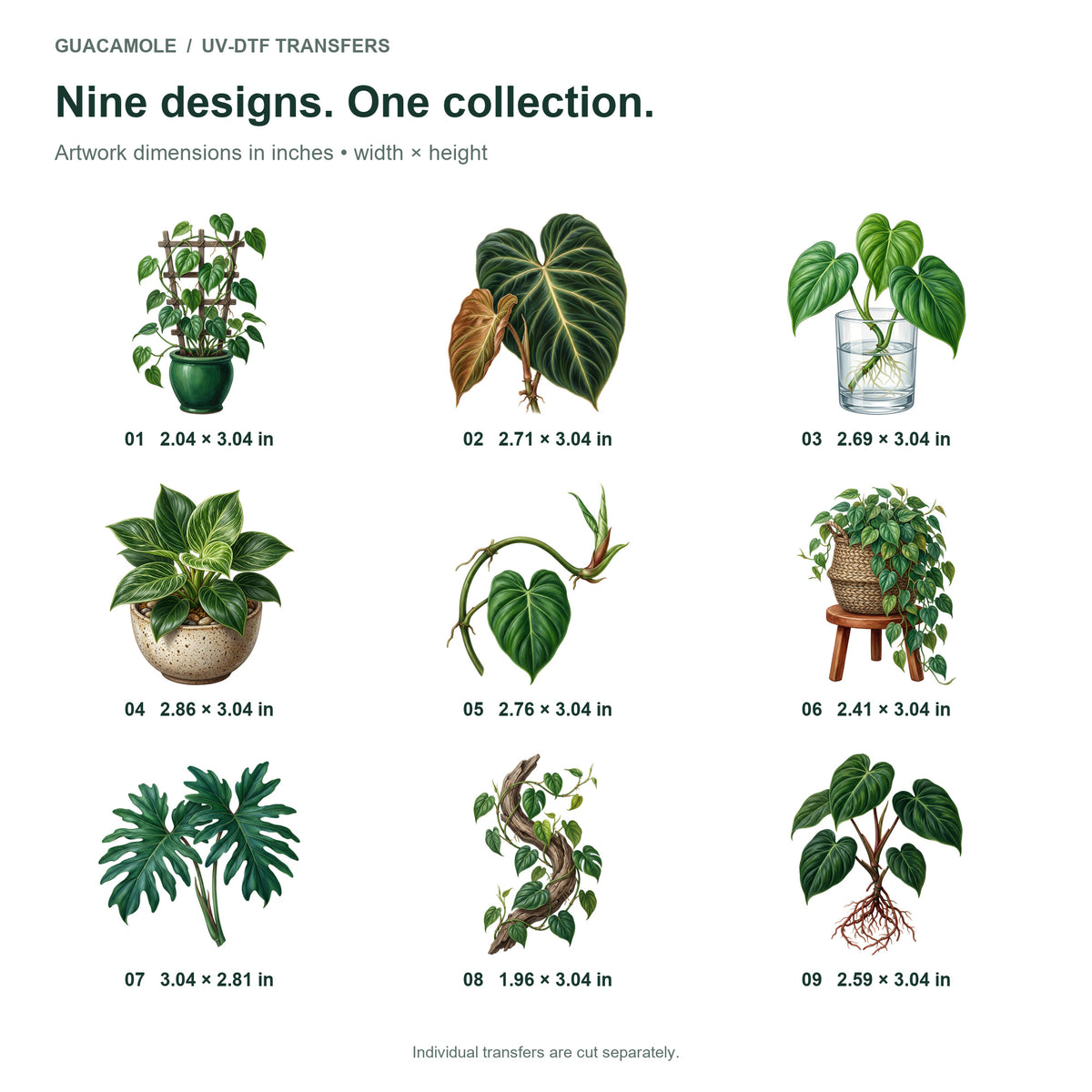 Philodendron Climbers — Nine designs and sizes