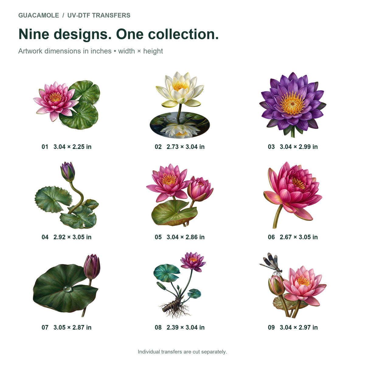 Water Lily Pond Blooms — Nine designs and sizes