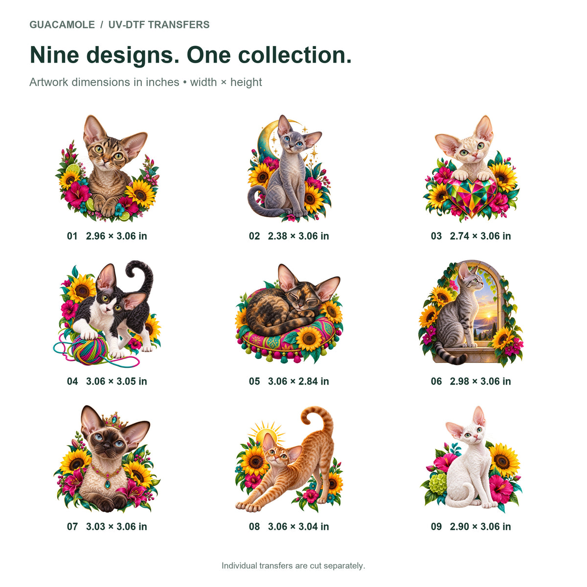 Devon Rex — Nine designs and sizes