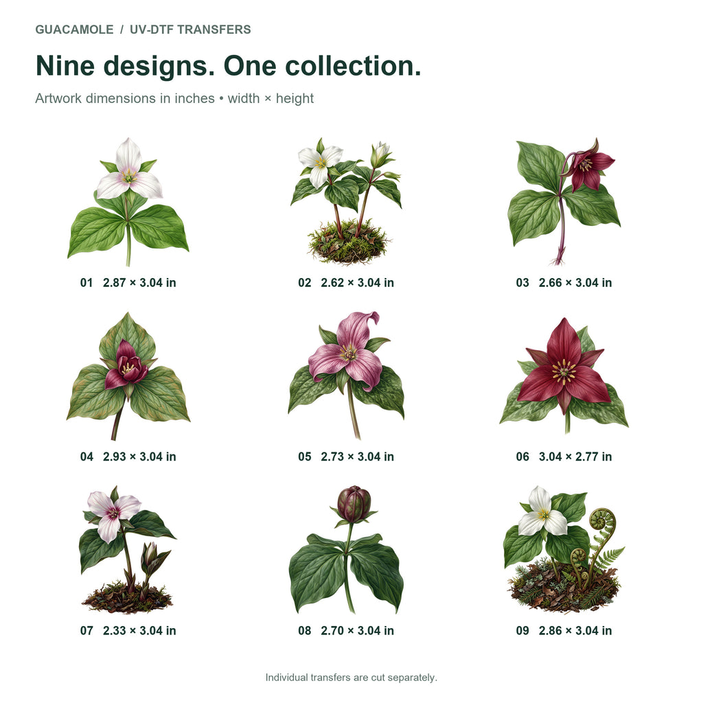 Trillium Forest Floor — Nine designs and sizes