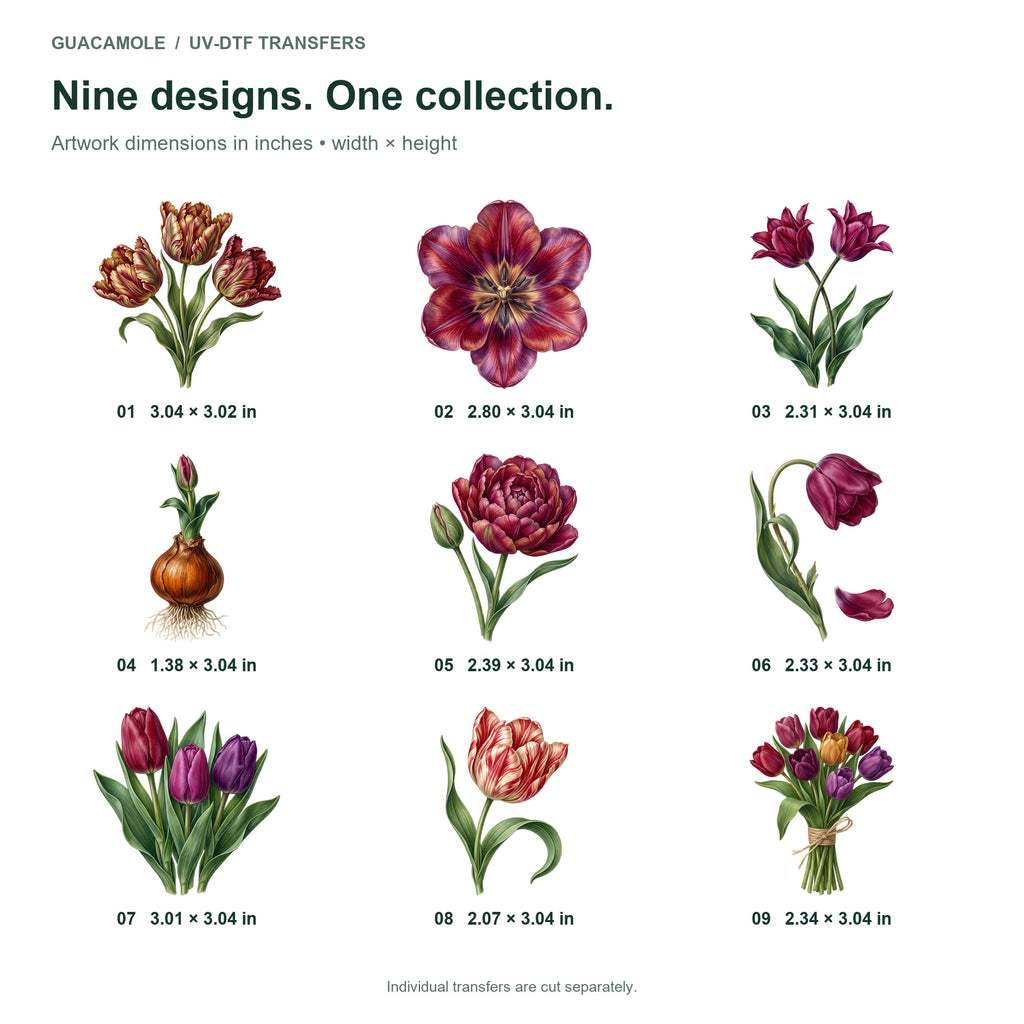 Tulip Festival — Nine designs and sizes