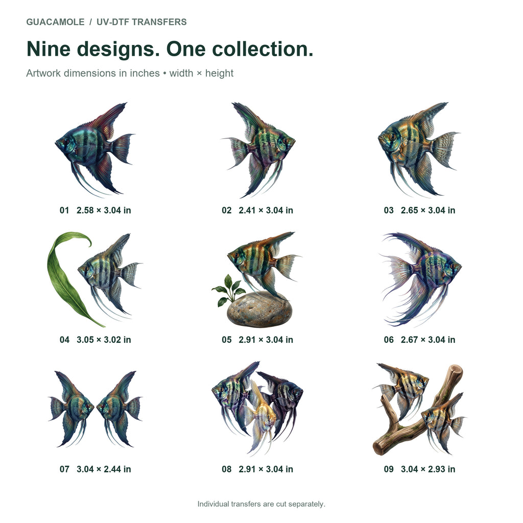 Angelfish Aquarium — Nine designs and sizes
