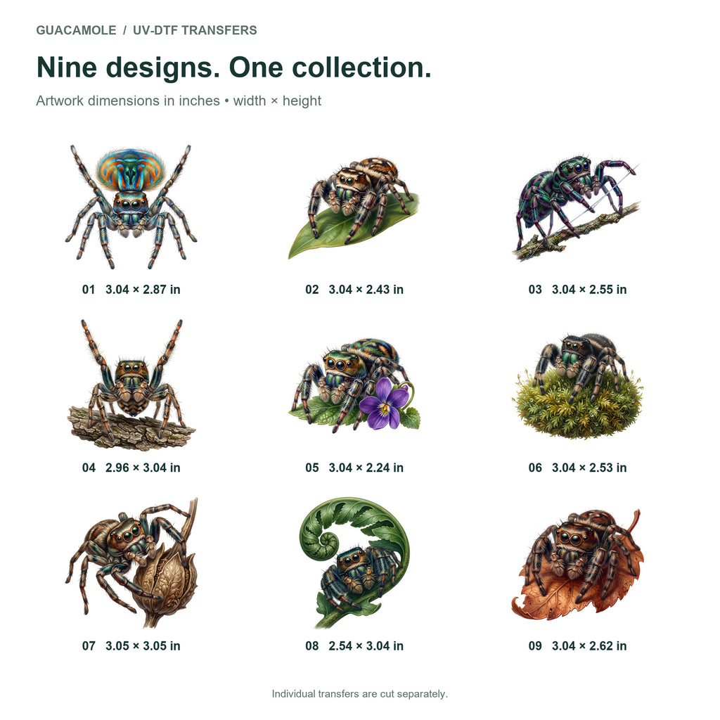 Jumping Spider Faces — Nine designs and sizes