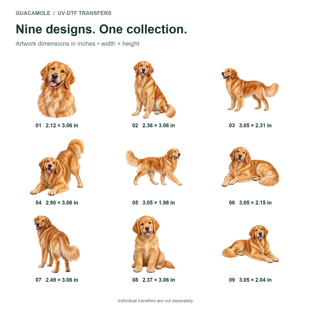 Golden Retriever — Nine designs and sizes