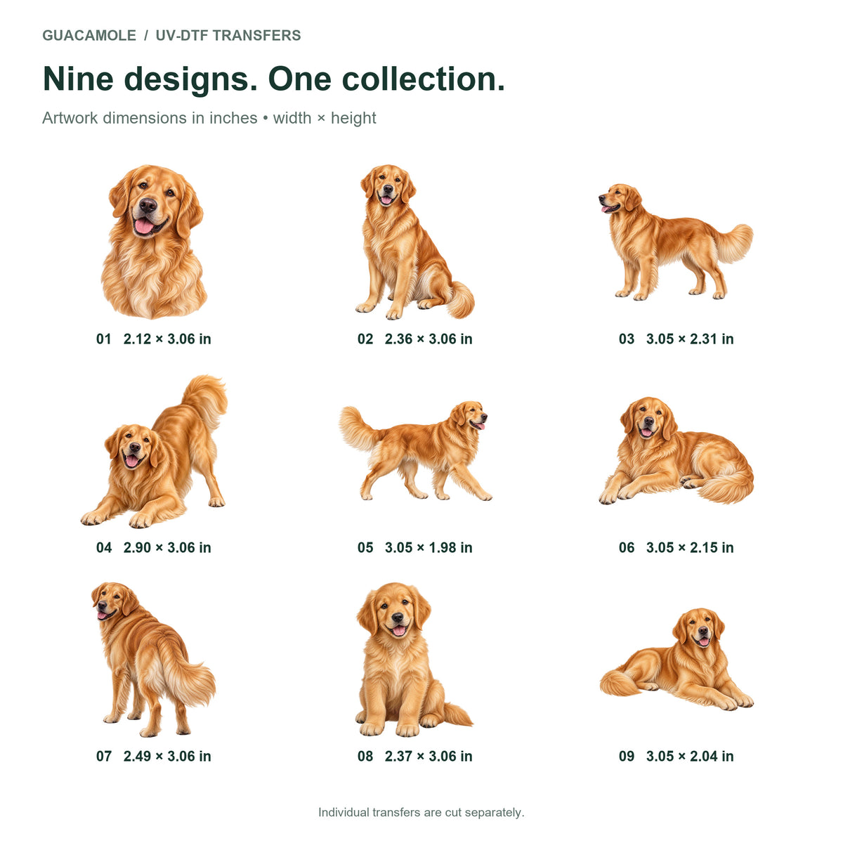 Golden Retriever — Nine designs and sizes