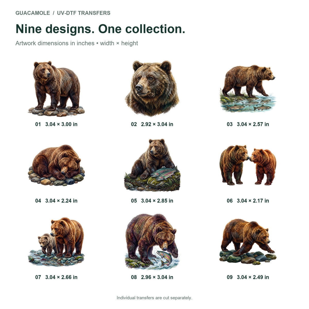 Grizzly Bear Salmon Run — Nine designs and sizes