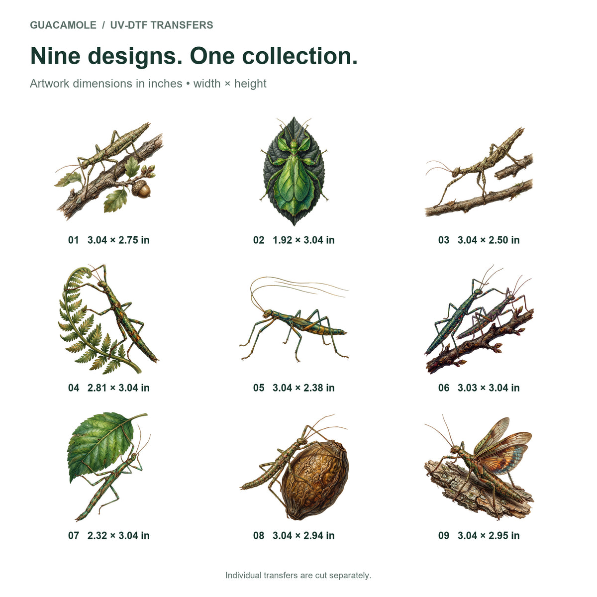 Walking Stick Insects — Nine designs and sizes