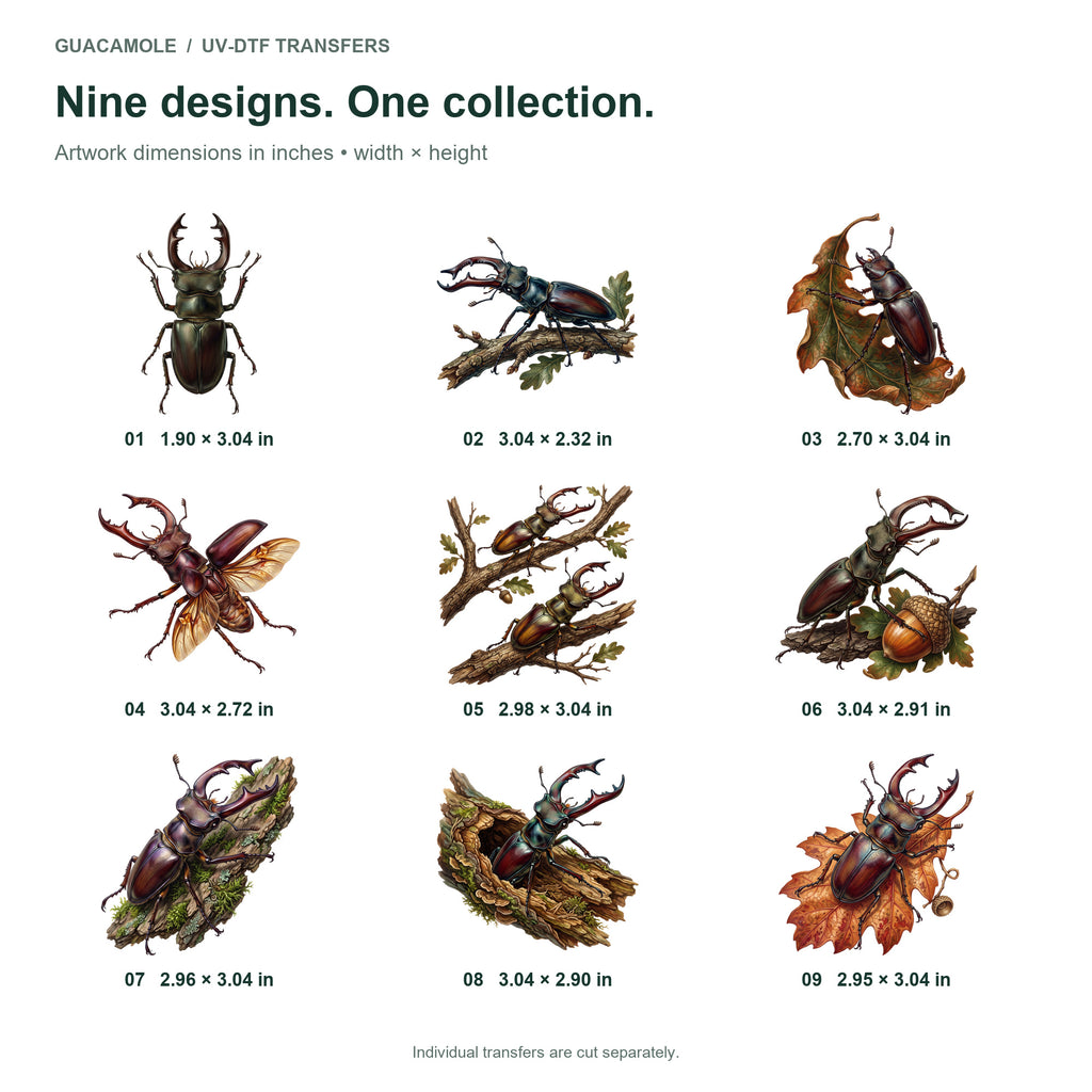 Stag Beetles — Nine designs and sizes