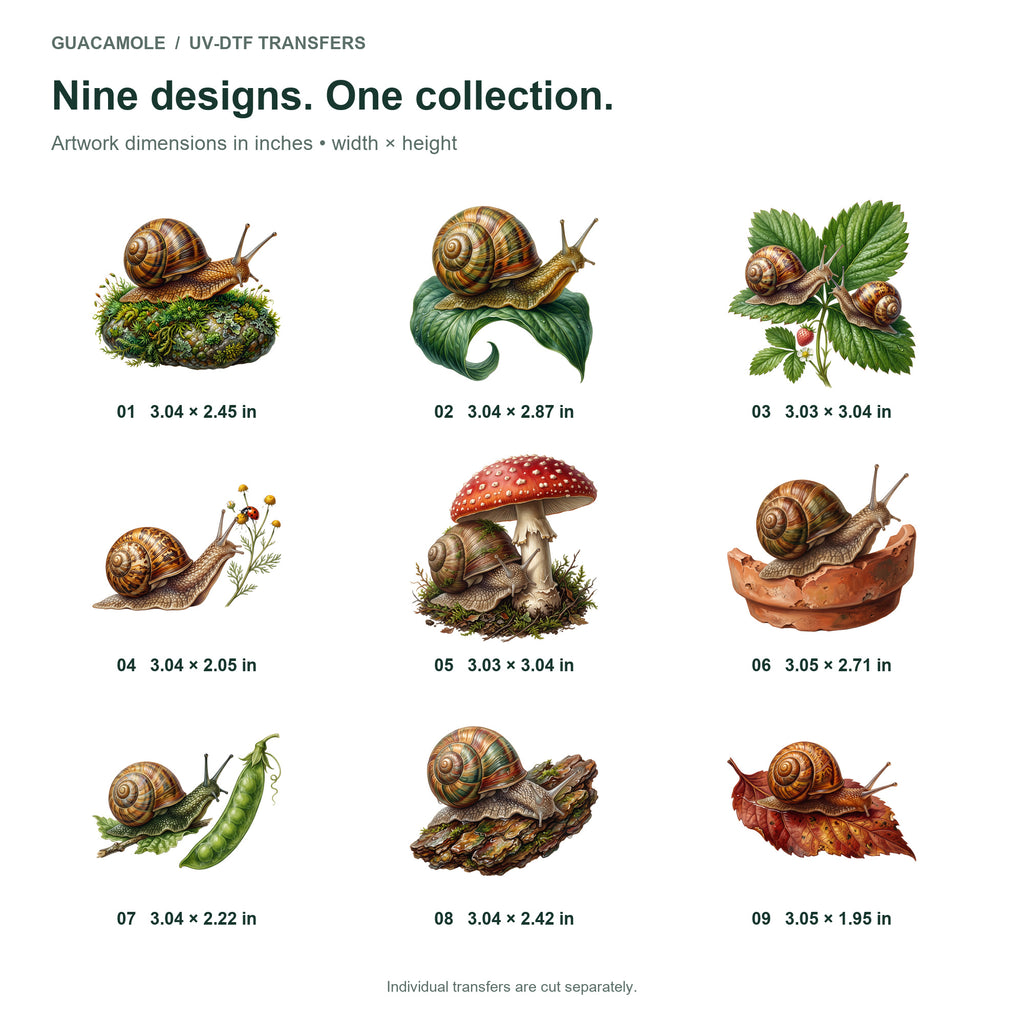Garden Snails — Nine designs and sizes