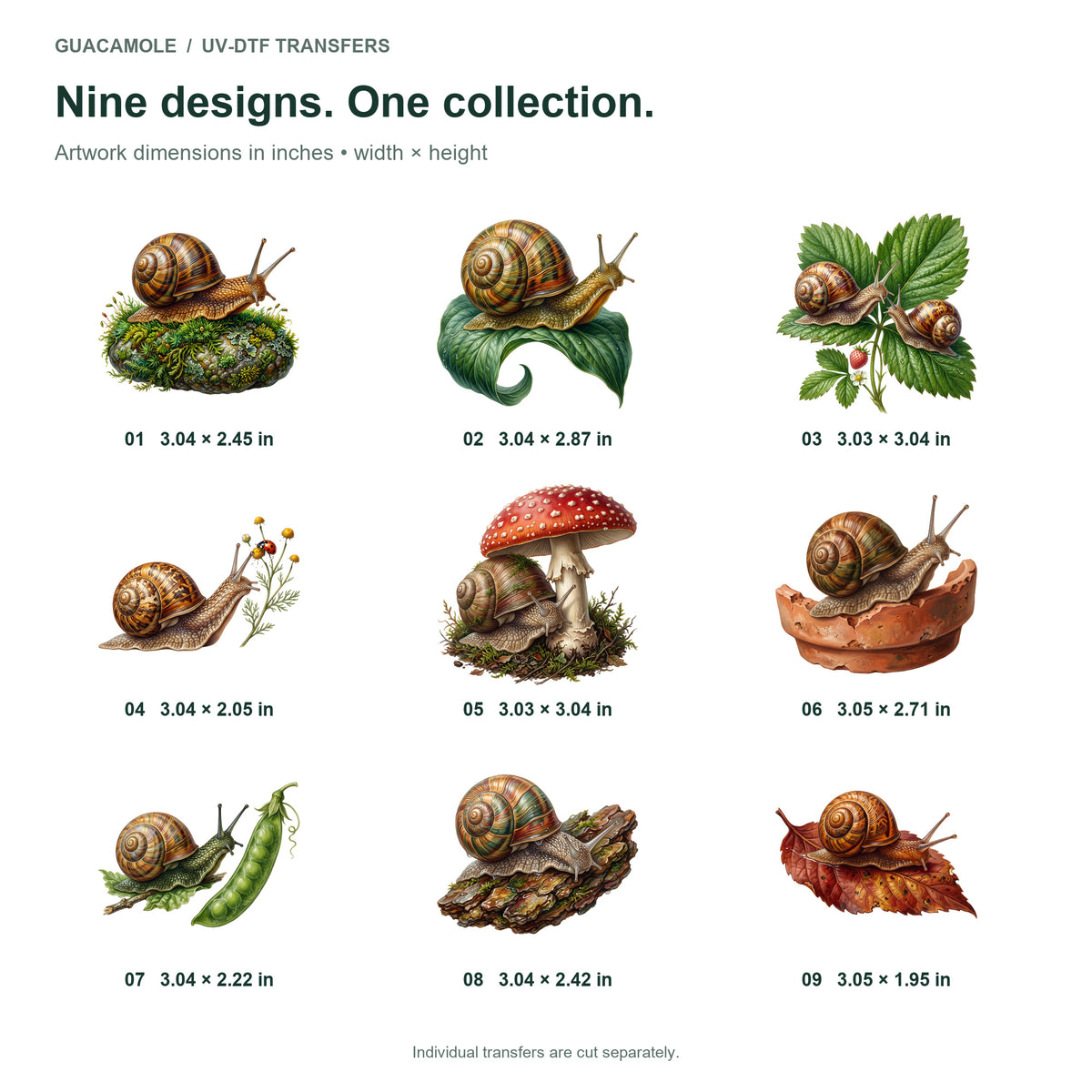 Garden Snails — Nine designs and sizes