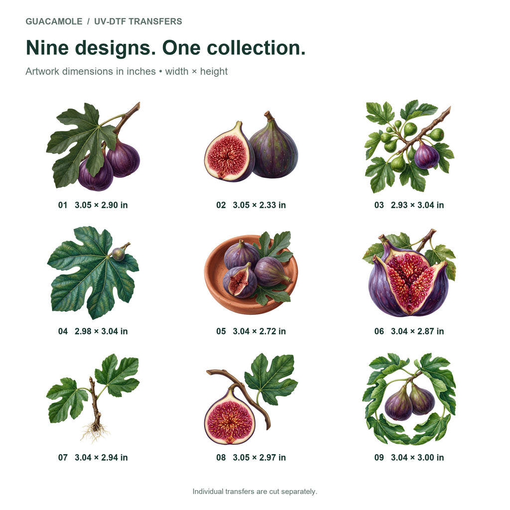 Fig Leaves and Fruit — Nine designs and sizes