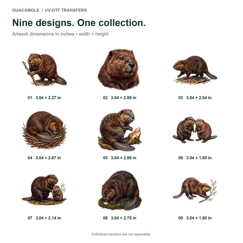 Beaver Builders — Nine designs and sizes