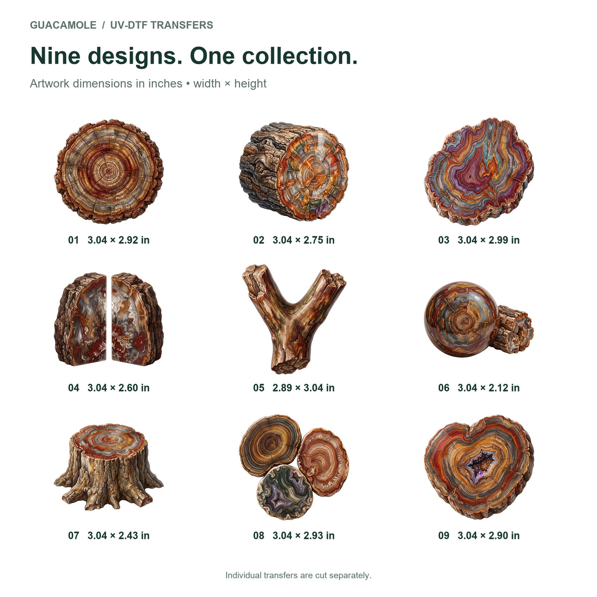 Petrified Wood Specimens — Nine designs and sizes