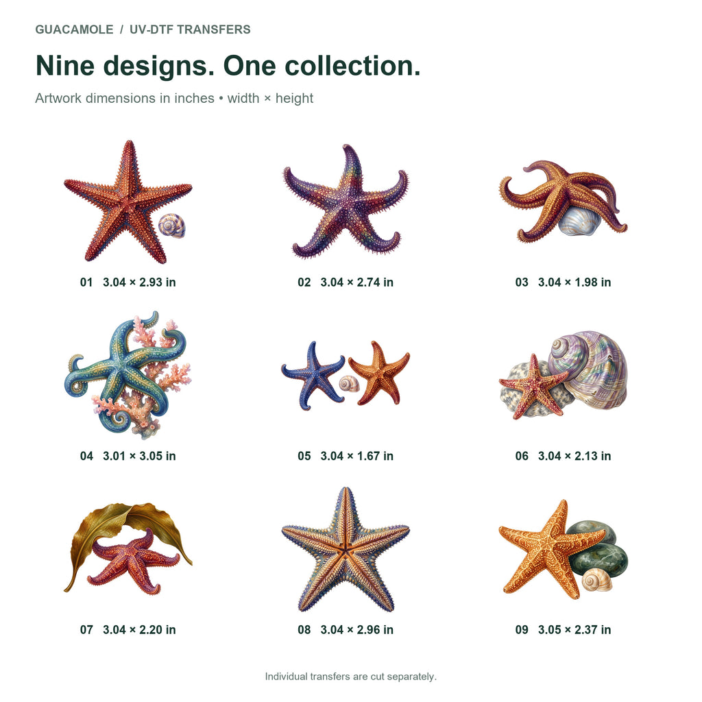 Starfish and Brittle Stars — Nine designs and sizes