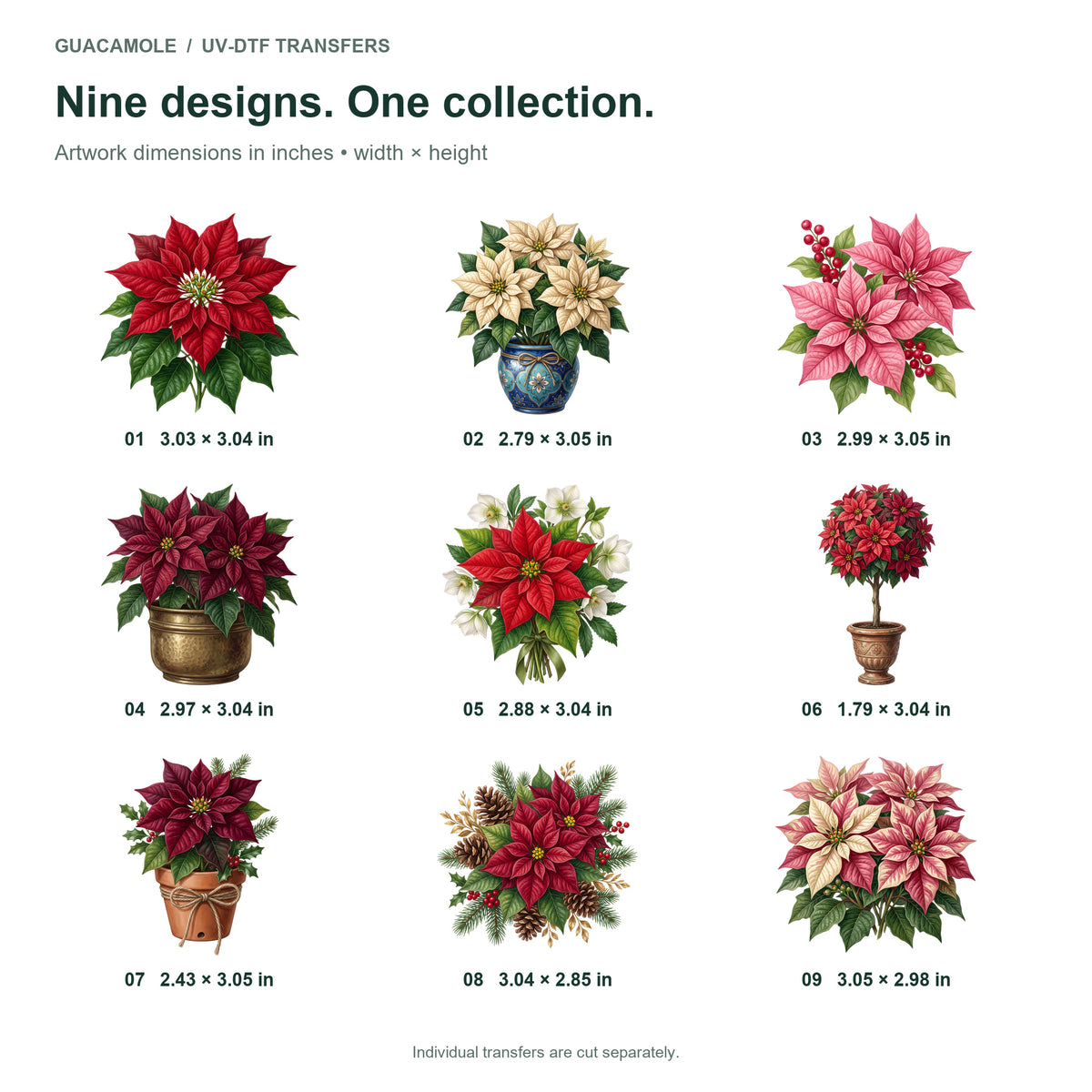 Poinsettia Arrangements — Nine designs and sizes