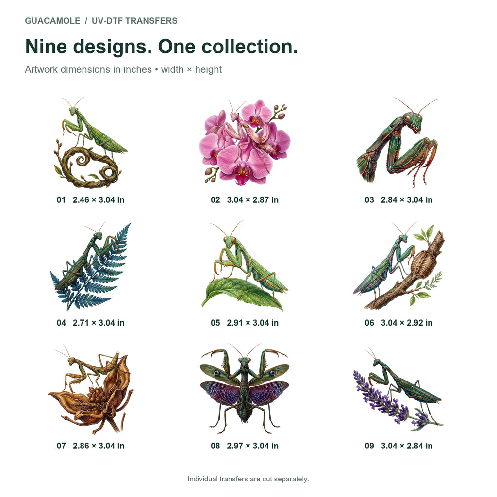Praying Mantises — Nine designs and sizes