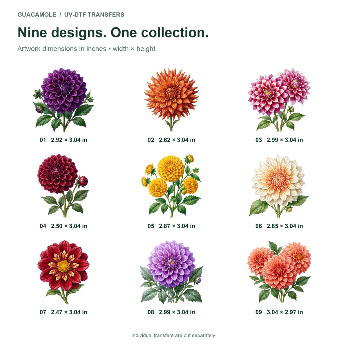 Dahlia Flowers — Nine designs and sizes