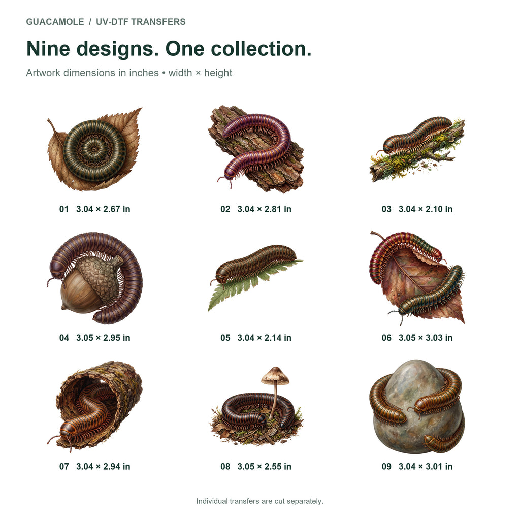 Millipede Forest Floor — Nine designs and sizes