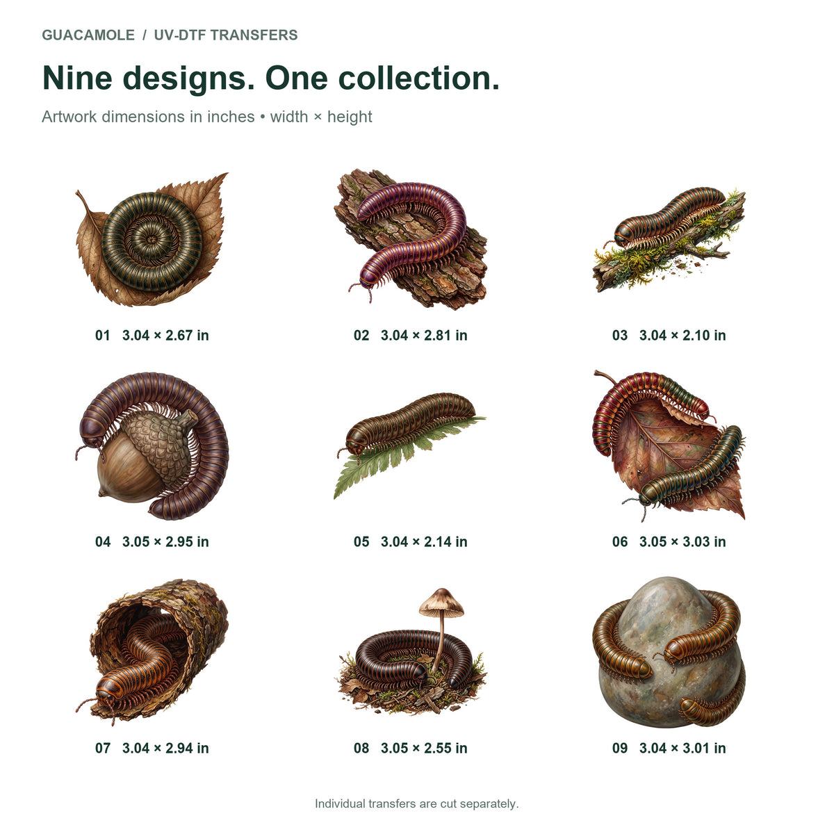 Millipede Forest Floor — Nine designs and sizes