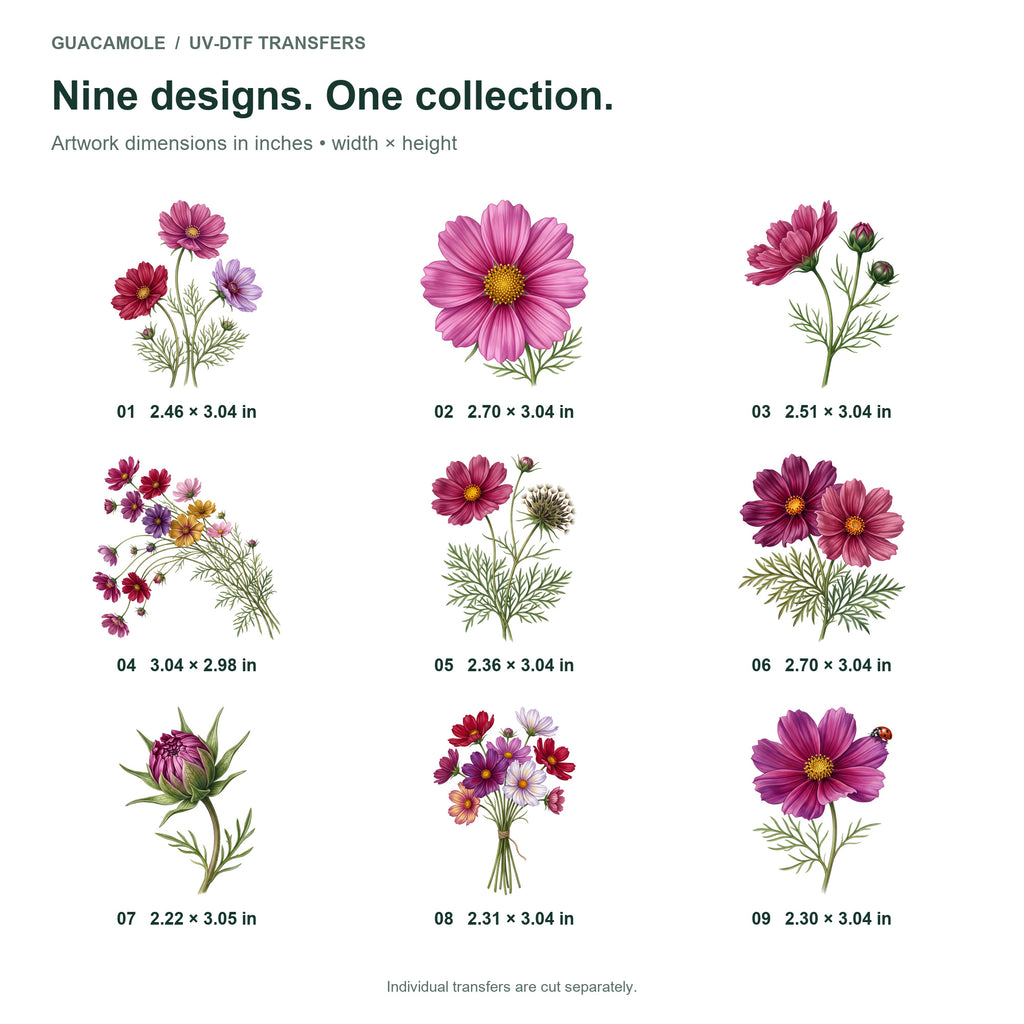 Cosmos in the Breeze — Nine designs and sizes