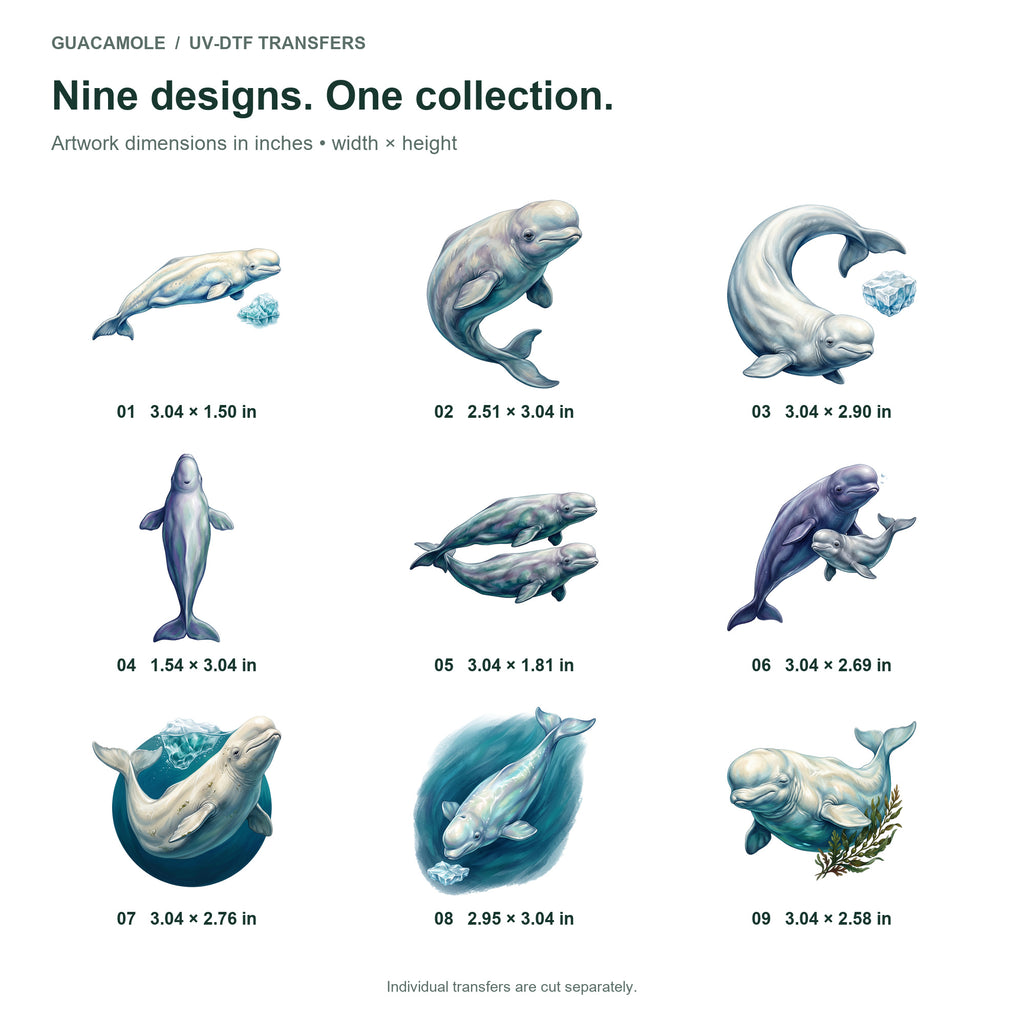 Beluga Arctic Smiles — Nine designs and sizes