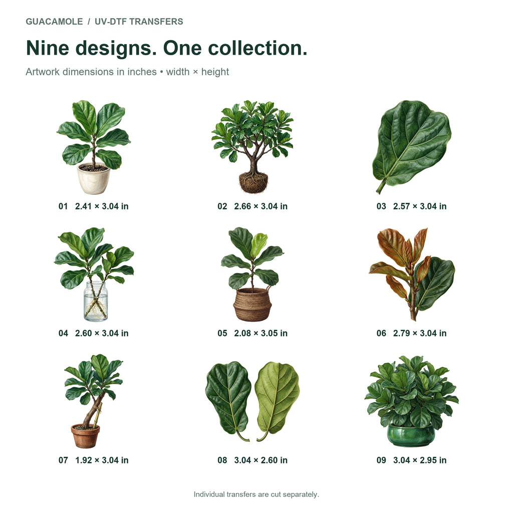 Fiddle Leaf Figs — Nine designs and sizes