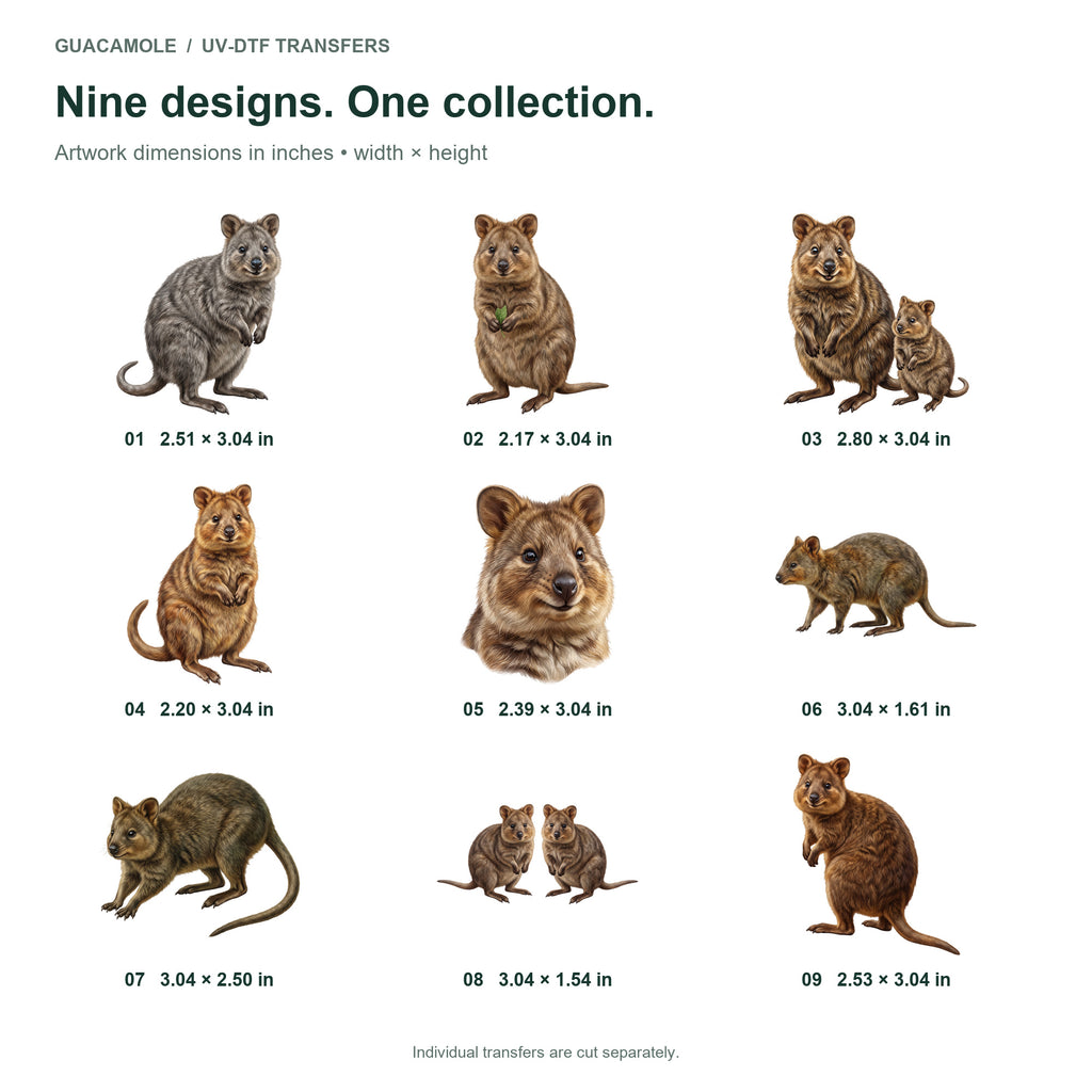 Quokka Island Smiles — Nine designs and sizes