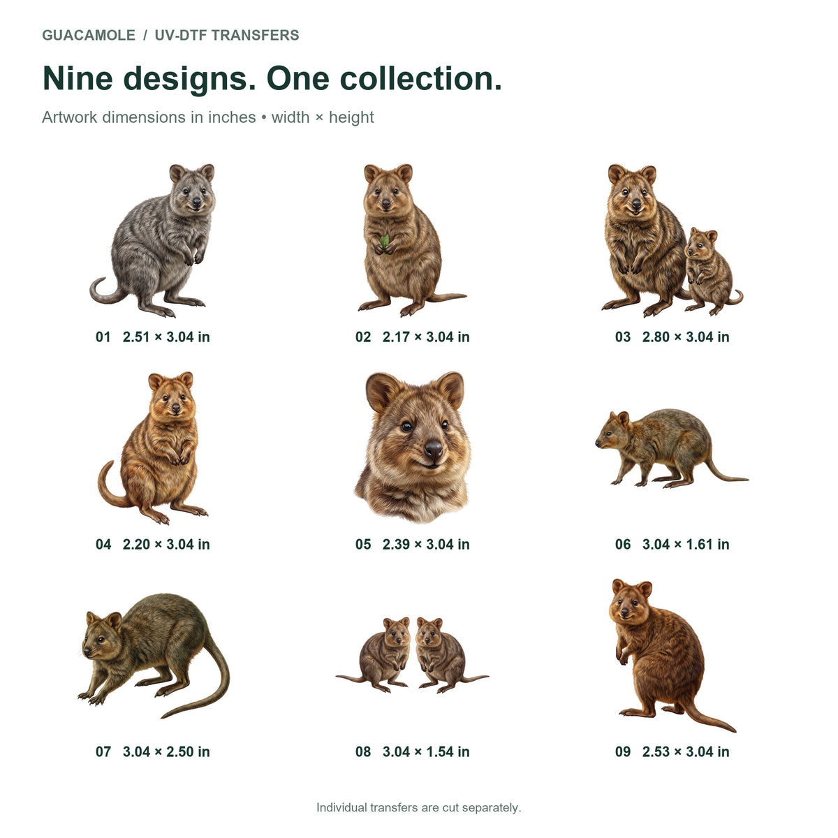 Quokka Island Smiles — Nine designs and sizes