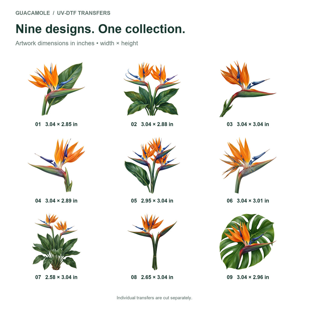 Bird of Paradise Blooms — Nine designs and sizes