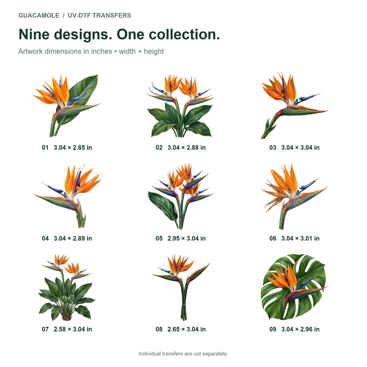 Bird of Paradise Blooms — Nine designs and sizes