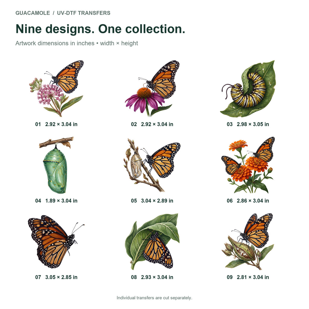 Monarch Butterfly Life — Nine designs and sizes