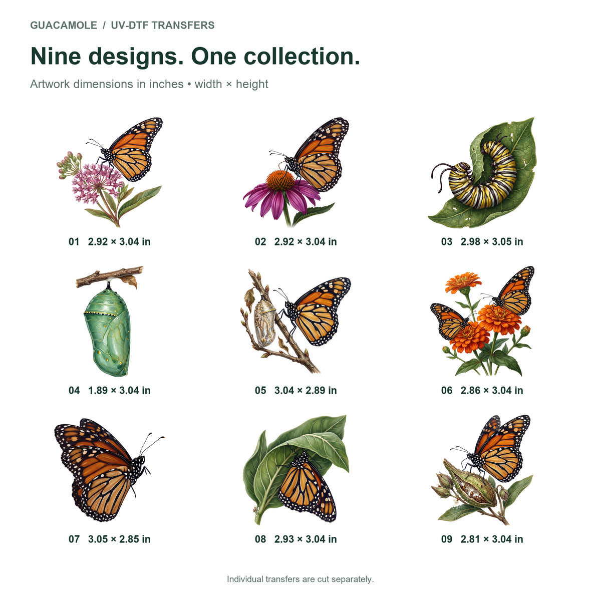 Monarch Butterfly Life — Nine designs and sizes