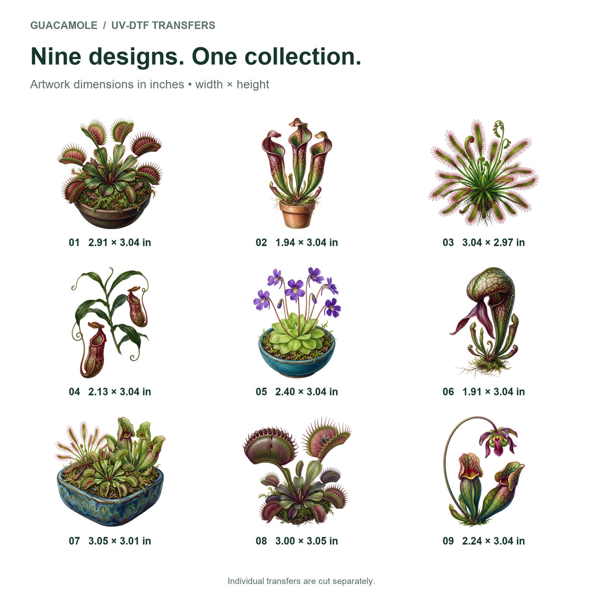 Carnivorous Plant Cabinet — Nine designs and sizes