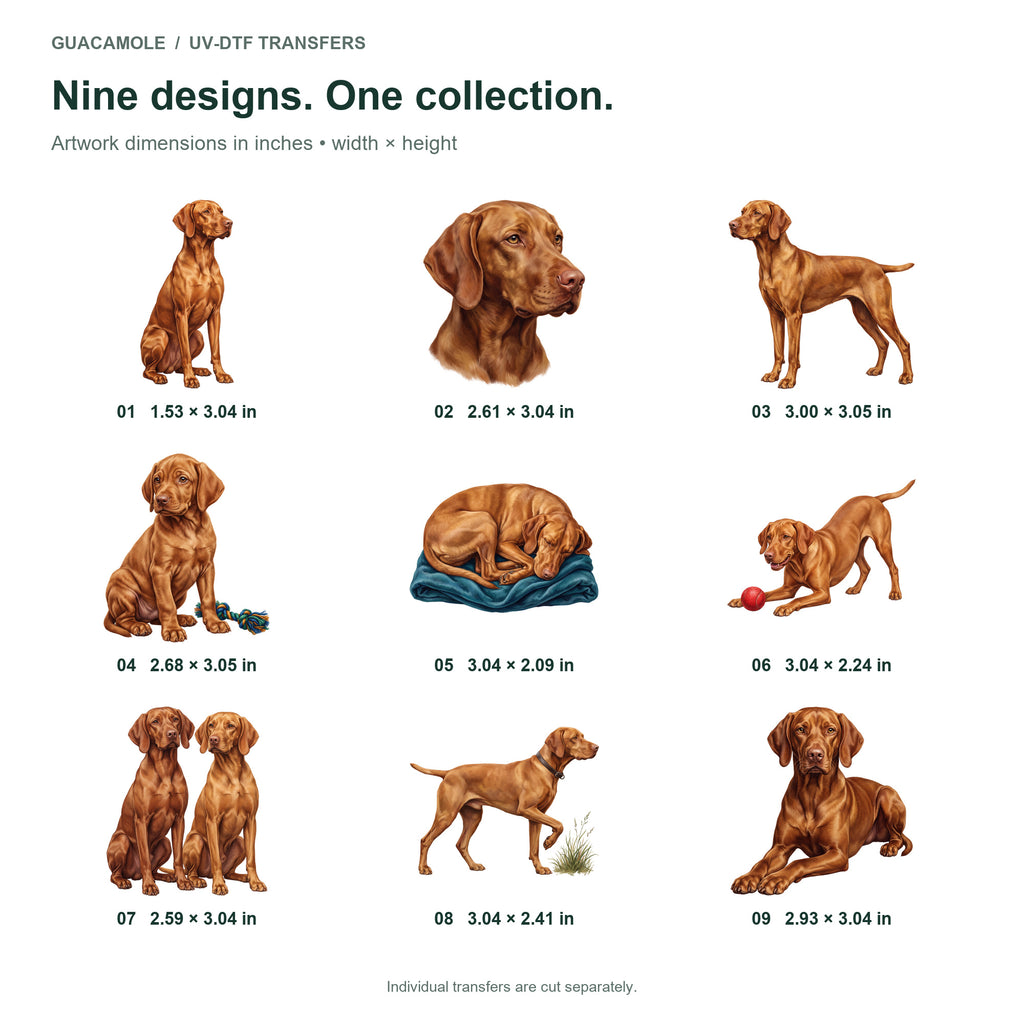 Vizslas — Nine designs and sizes