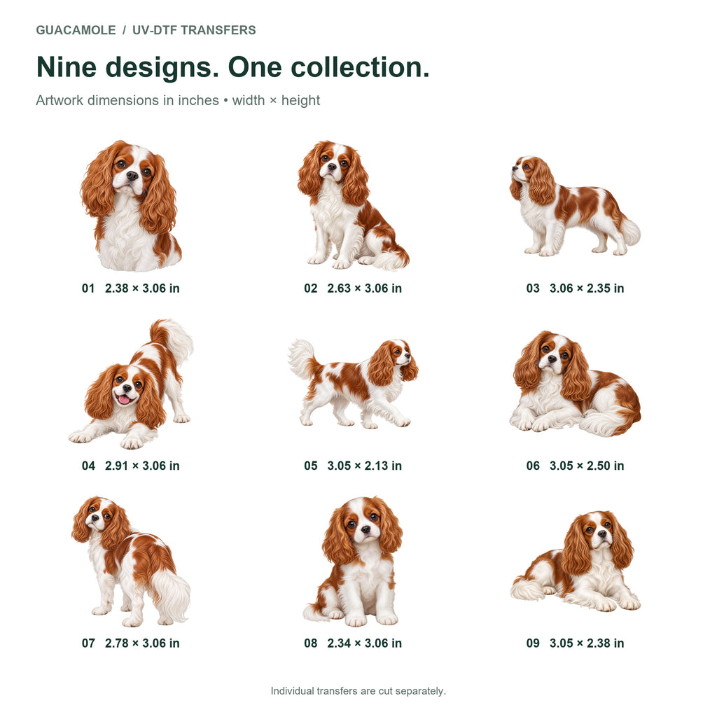 Cavalier King Charles Spaniel — Nine designs and sizes