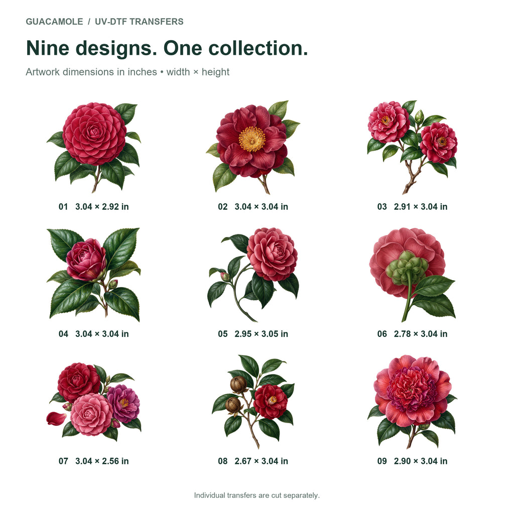 Camellia Blossoms — Nine designs and sizes
