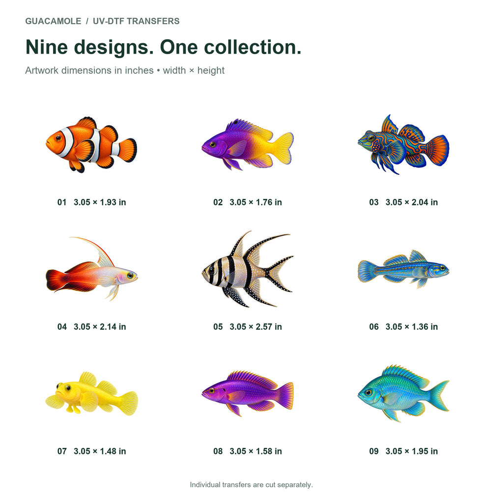 Saltwater Small Species — Nine designs and sizes