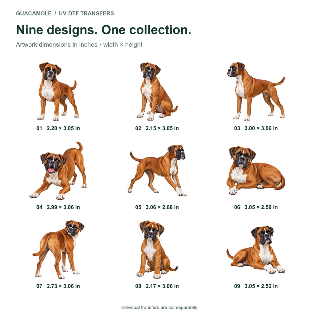 Boxer — Nine designs and sizes