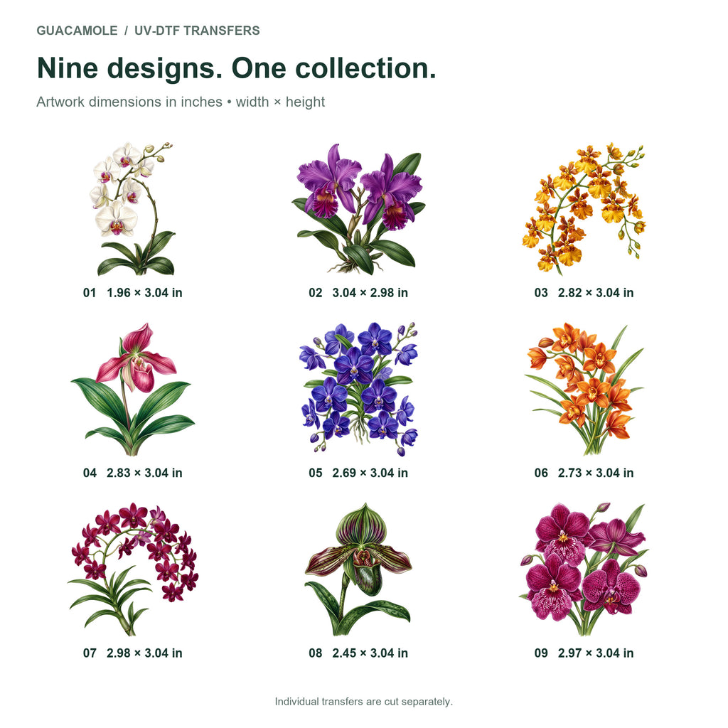 Orchid Flowers — Nine designs and sizes