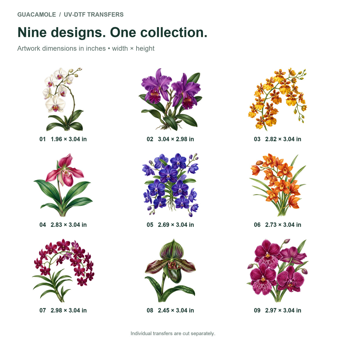Orchid Flowers — Nine designs and sizes