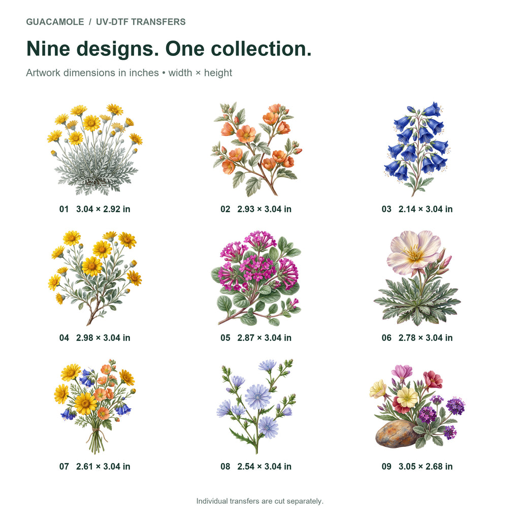 Desert Wildflower Medley — Nine designs and sizes